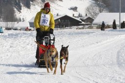 Lenk 2012 SM